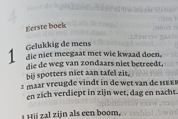 Poëzie middag